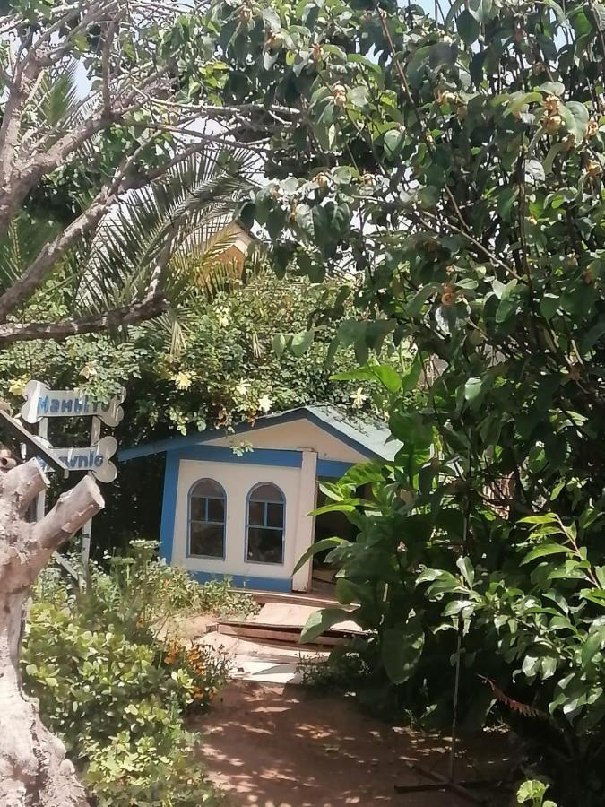 Apartament Tu Jardin Secreto La Serena Zewnętrze zdjęcie